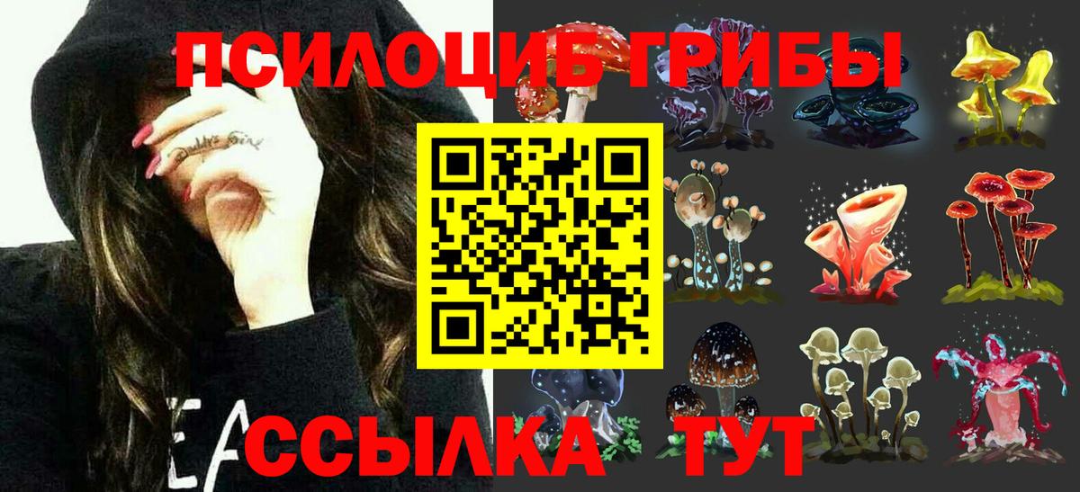 Галлюциногенные грибы Cubensis Мурино