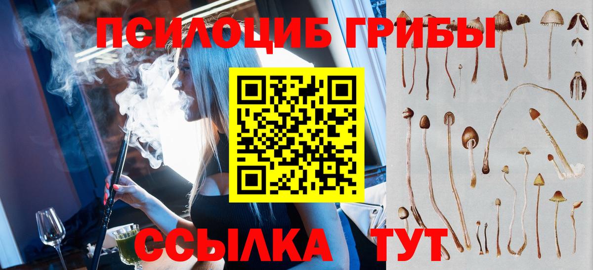 Мурино  Галлюциногенные грибы GOLDEN TEACHER  Вход с VPN 